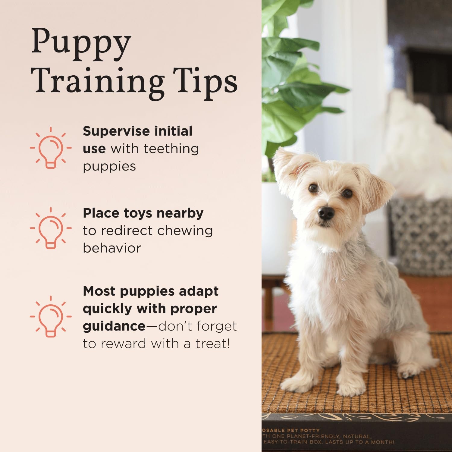Bark Potty solution réutilisable pour intérieur durable.