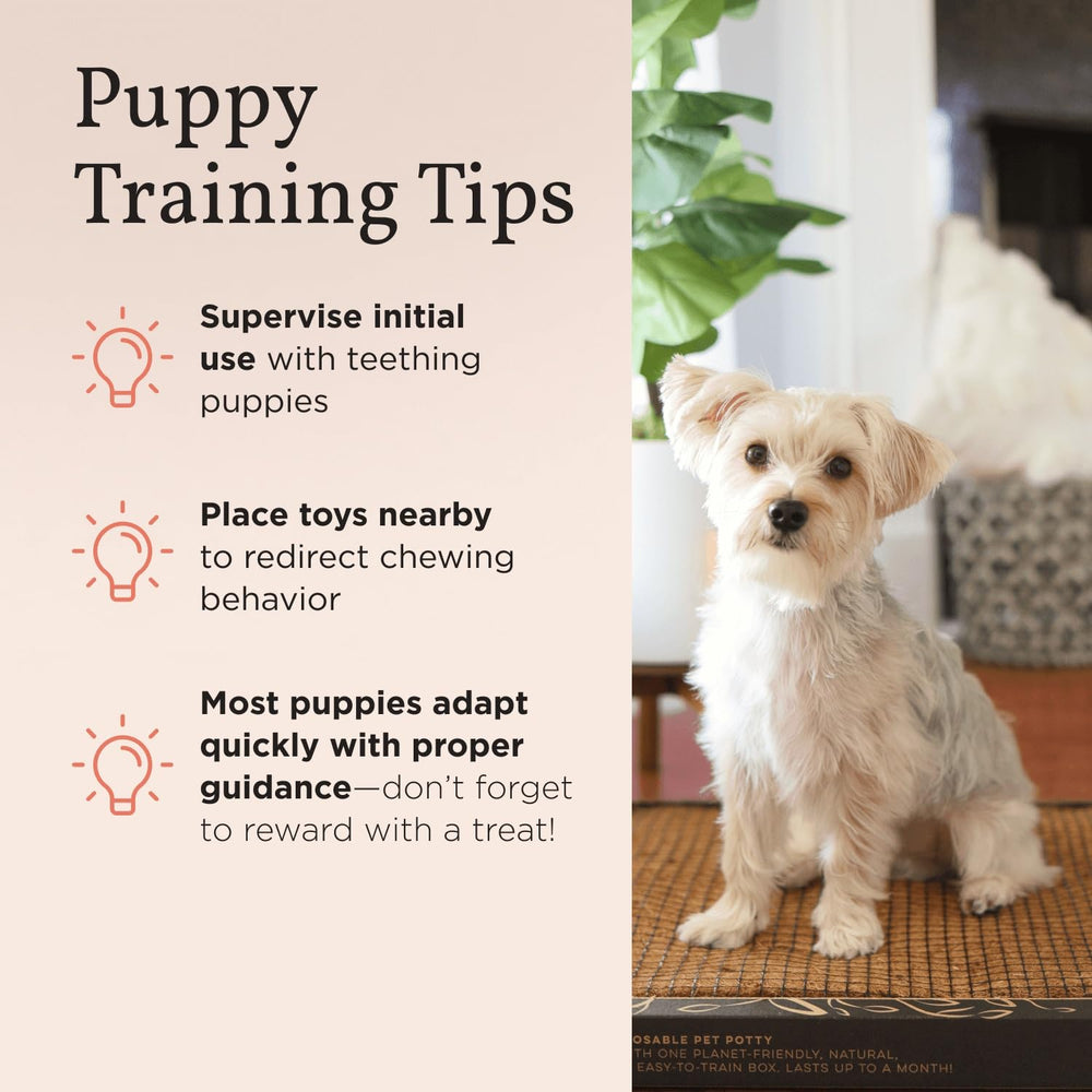 Bark Potty solution réutilisable pour intérieur durable.