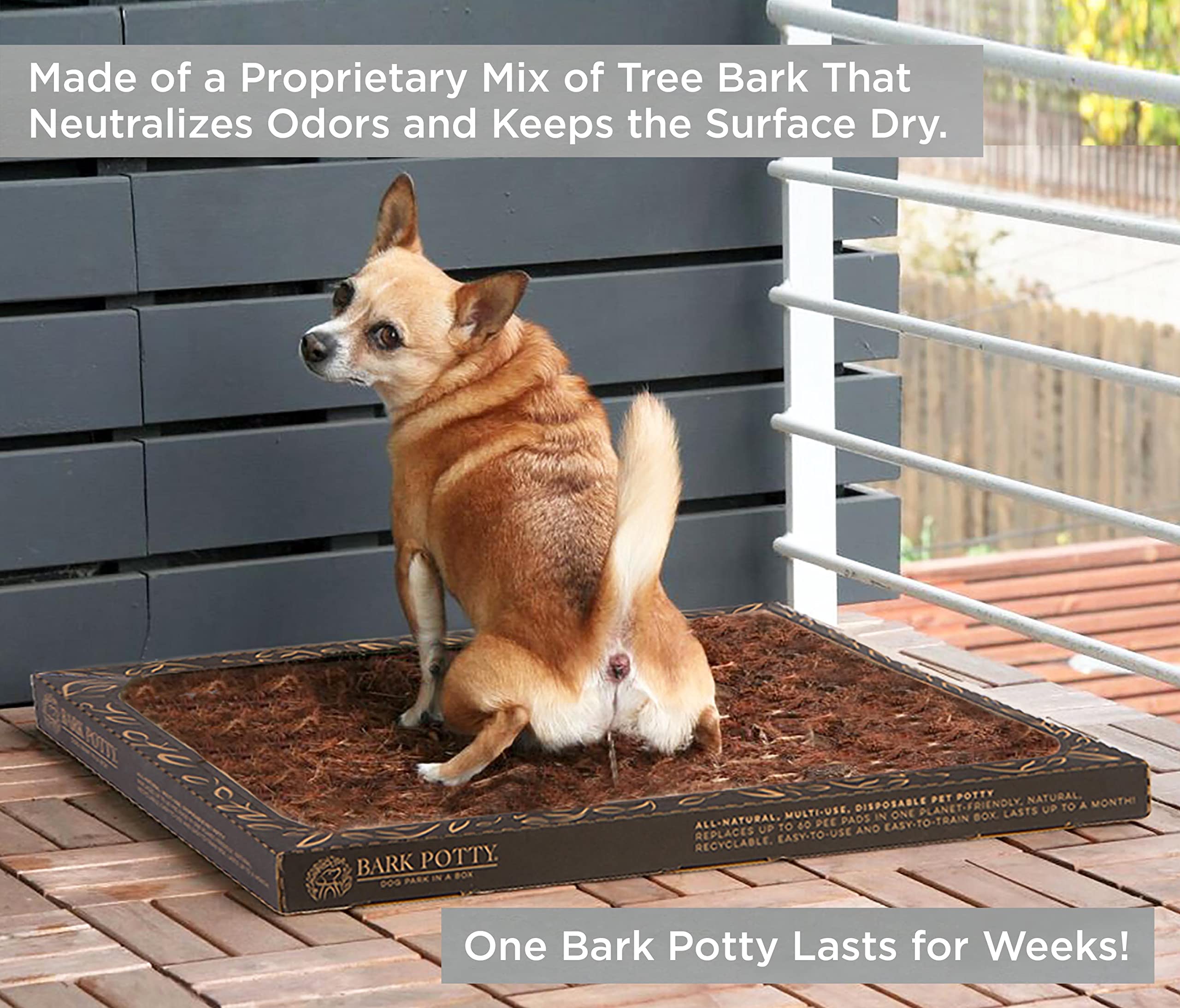 Bark Potty standard 24x16 pouces, solution pratique pour petits chiens