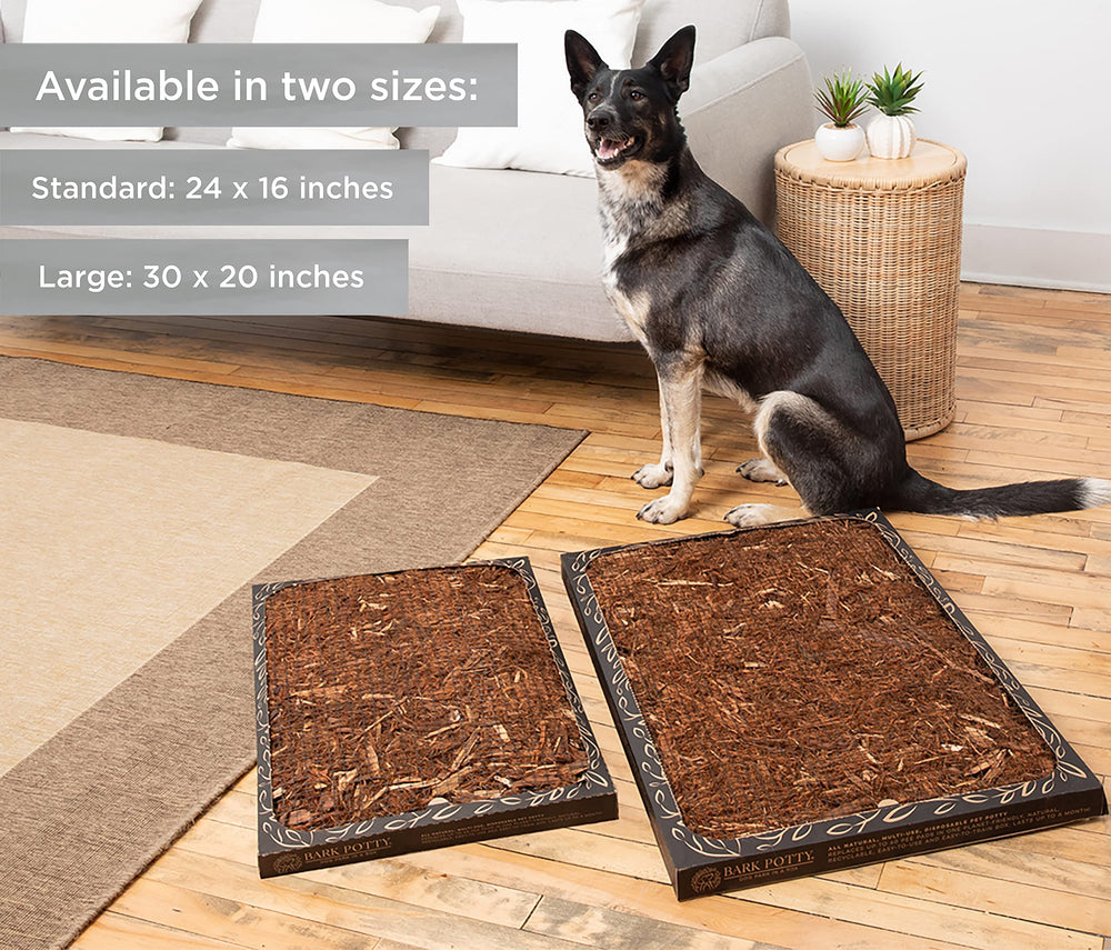 Bark Potty utilisation intérieure et extérieure, flexibilité pour la maison.