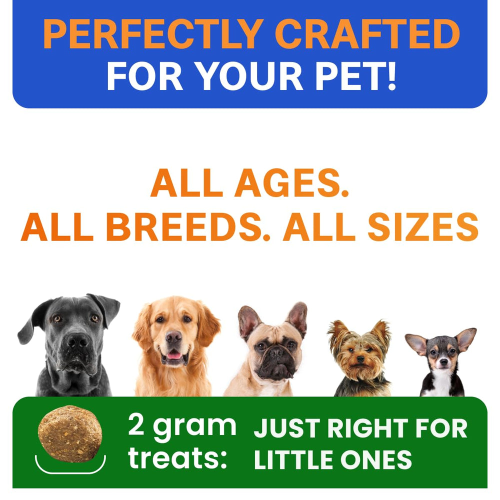 BARK&SPARK Probiotiques Chiens – fabriqué aux États‑Unis avec contrôle qualité.