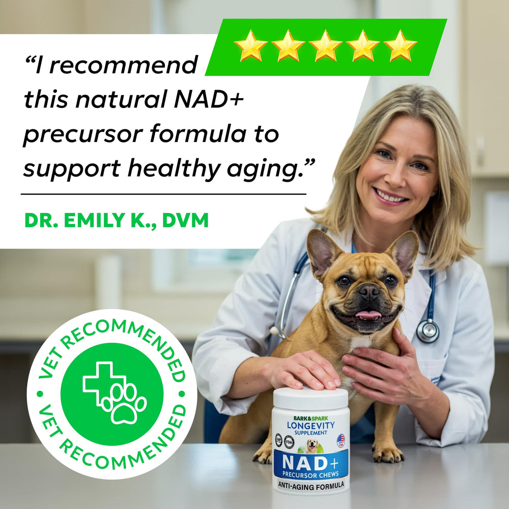 BARK&SPARK NAD+ – laboratoire et tests garantissant une formulation fiable