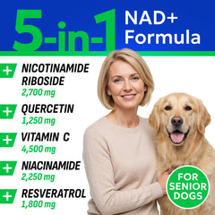 BARK&SPARK NAD+ – sante cognitive pour chien, aidant potentiellement à la clarté mentale
