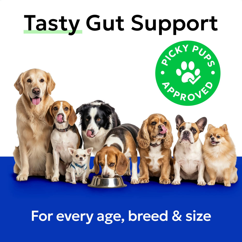 BARK&SPARK Poudre de Potiron Chiots et chiens seniors: adaptée à tous les âges