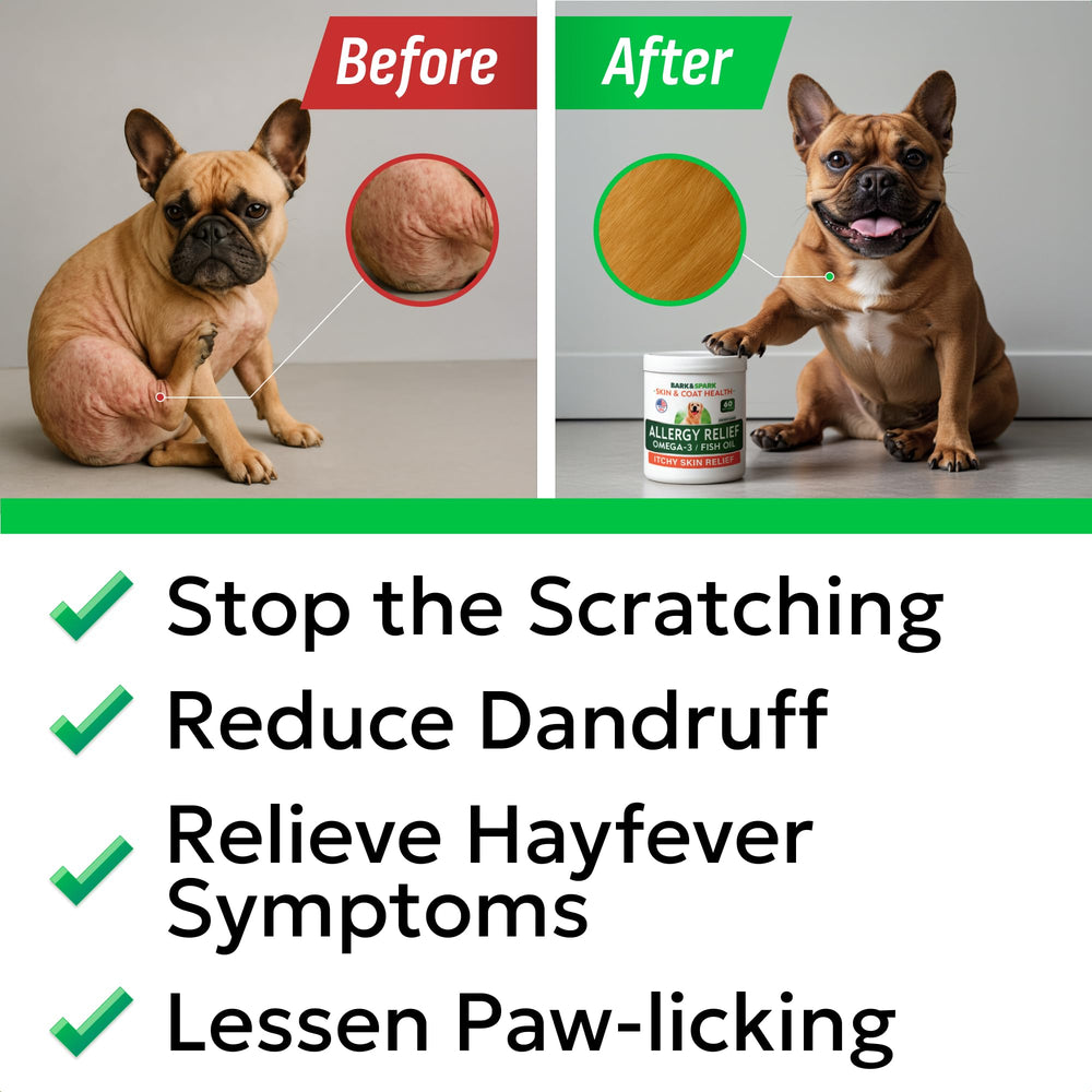 BARK&SPARK soutien immunitaire quotidien pour chiens de toutes tailles.