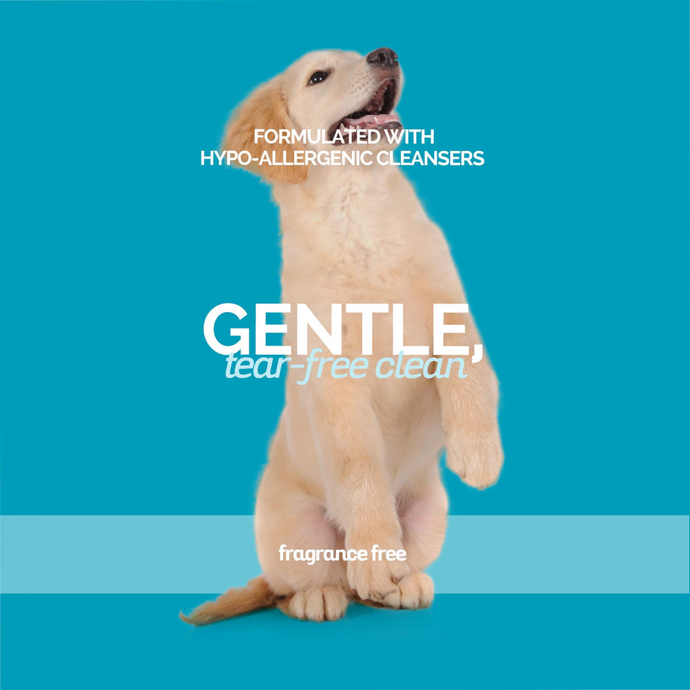 Utilisation en salon Bark2Basics Sensi-Skin par professionnels.