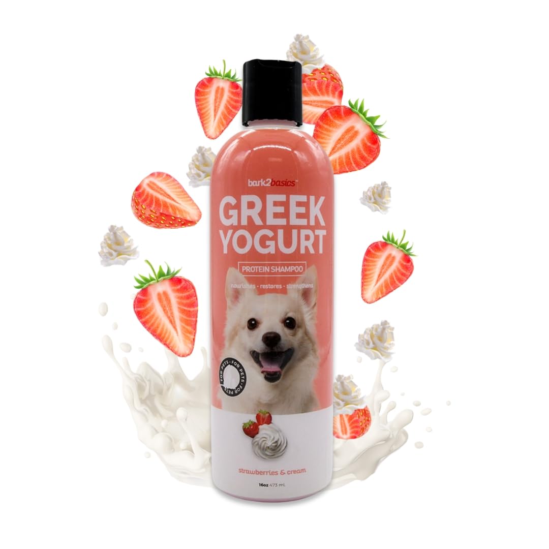 Shampoing Bark2Basics Fraises et Crème, bouteille élégante pour lavage doux du pelage.