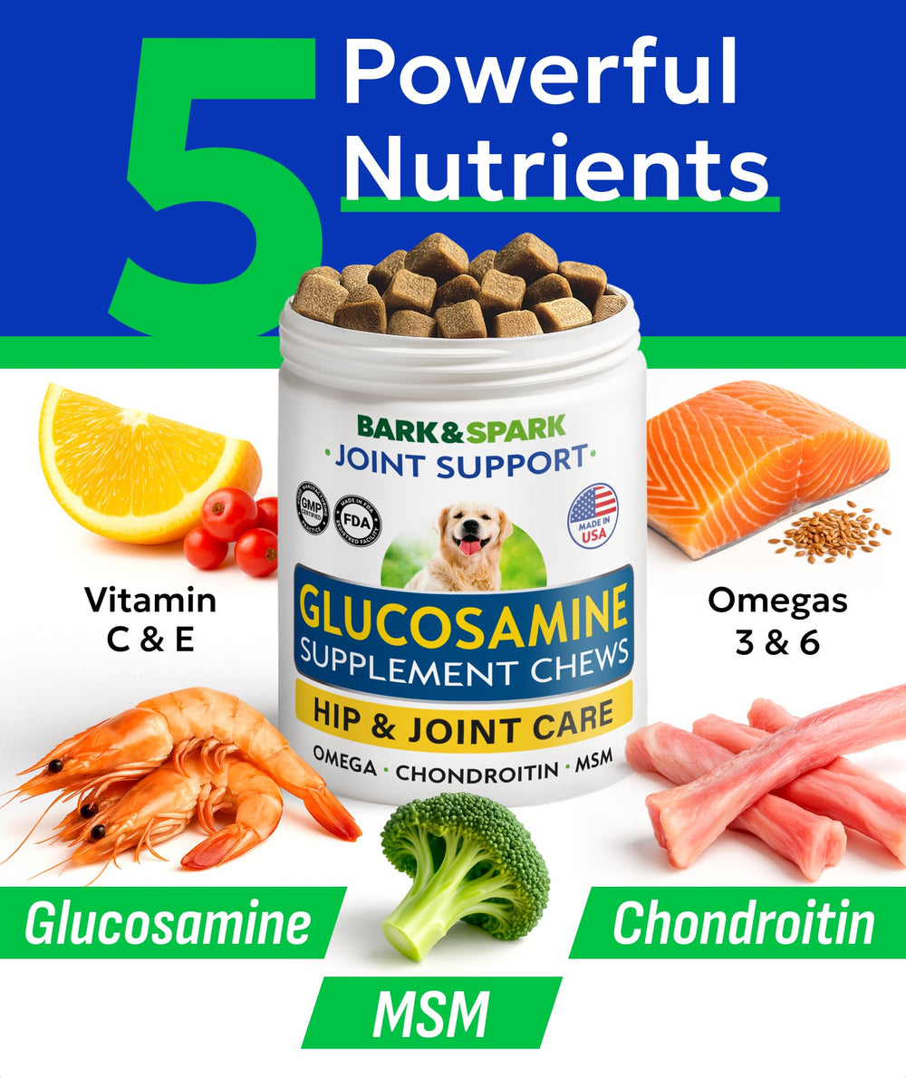 BARK&SPARK Chewables Mobilité: chien actif lors de l'exercice.