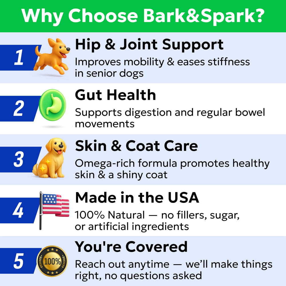 Fabriqué aux États‑Unis Bark&Spark qualité et traçabilité