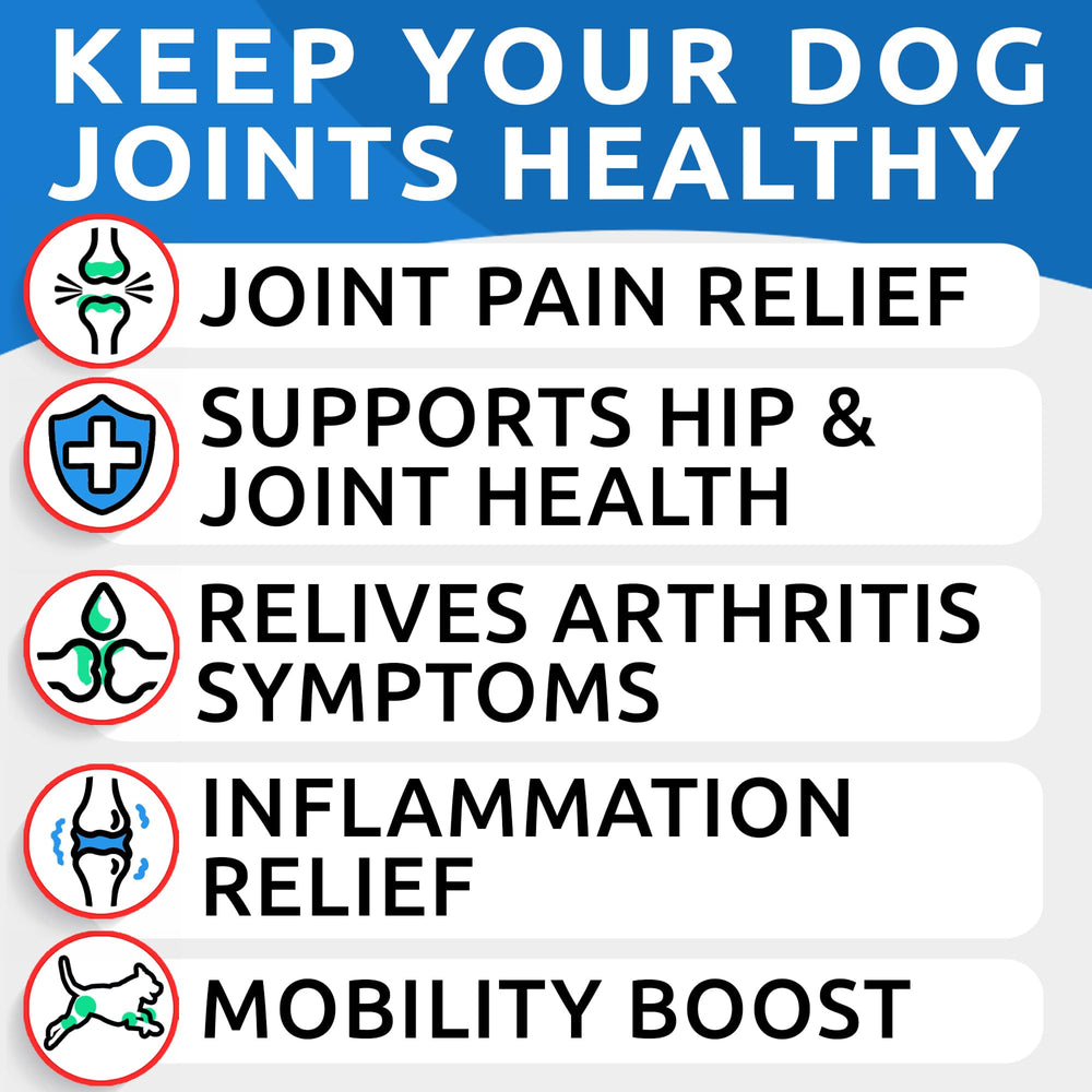 BARK&SPARK glucosamine liquide, doseur, facilite l administration.