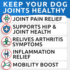 BARK&SPARK glucosamine liquide, doseur, facilite l administration.