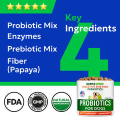 Probiotiques BARK&SPARK chien avec enzyme digestive, aide possible à la digestion.