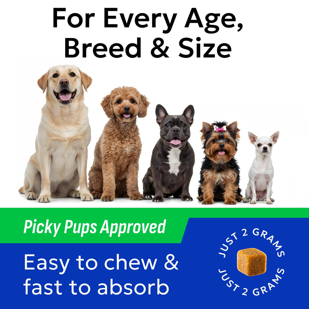 Probiotiques chiens BARK&SPARK pour peau et pelage sains et équilibrés.