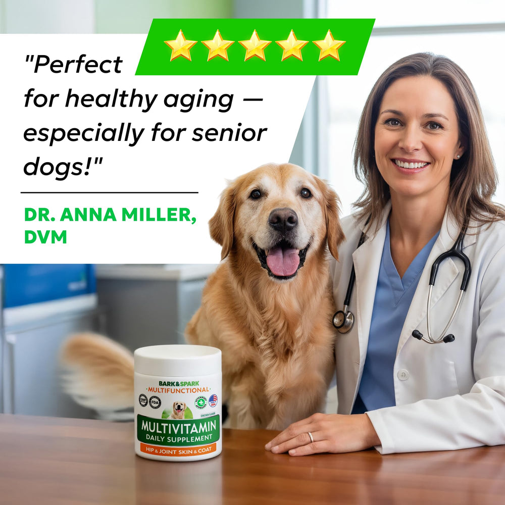 Probiotiques Bark&Spark pour digestion et confort intestinal