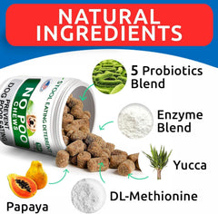 BARK&SPARK avec probiotiques et enzymes digestives pour une digestion équilibrée.