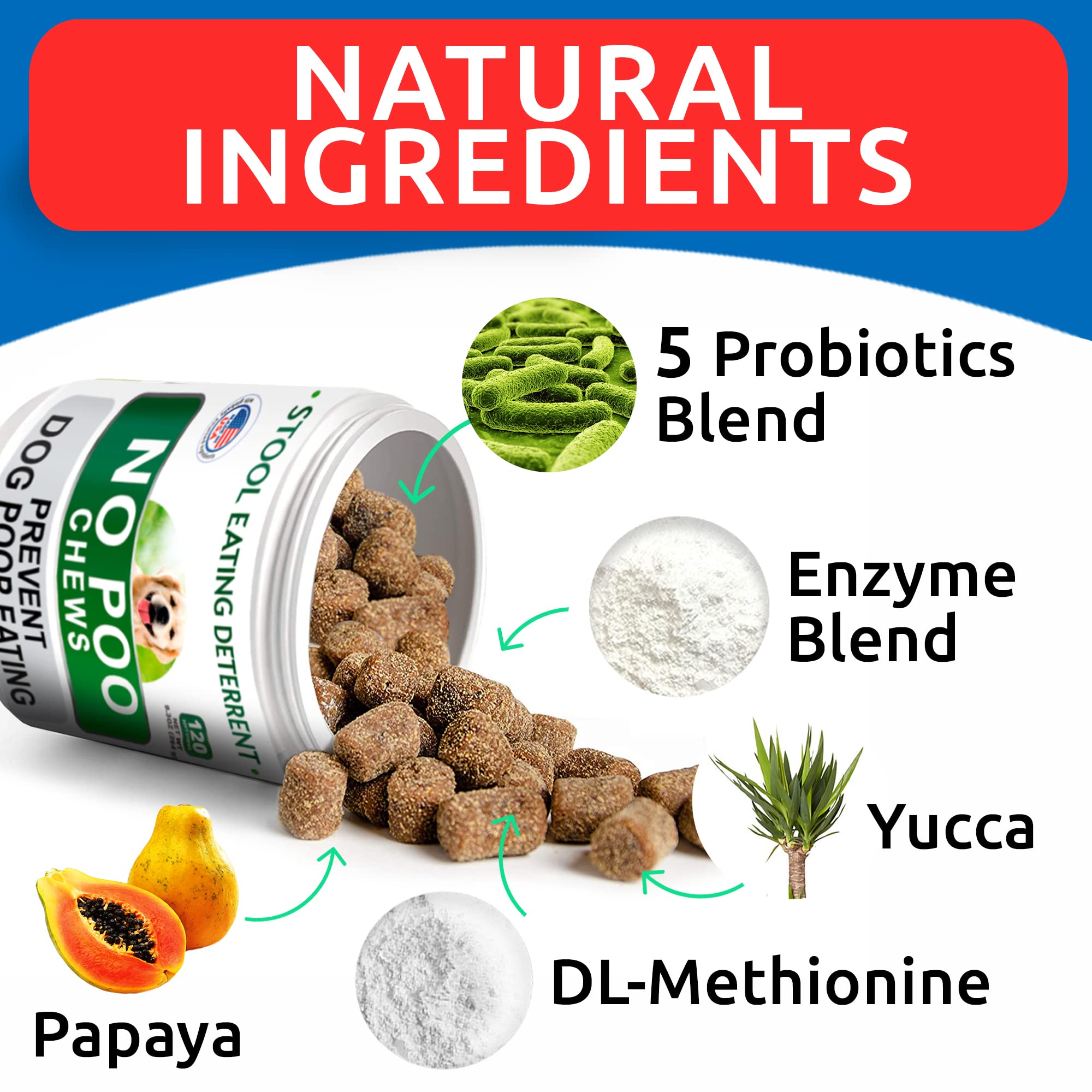 Probiotiques et enzymes digestives BARK&SPARK pour une digestion saine