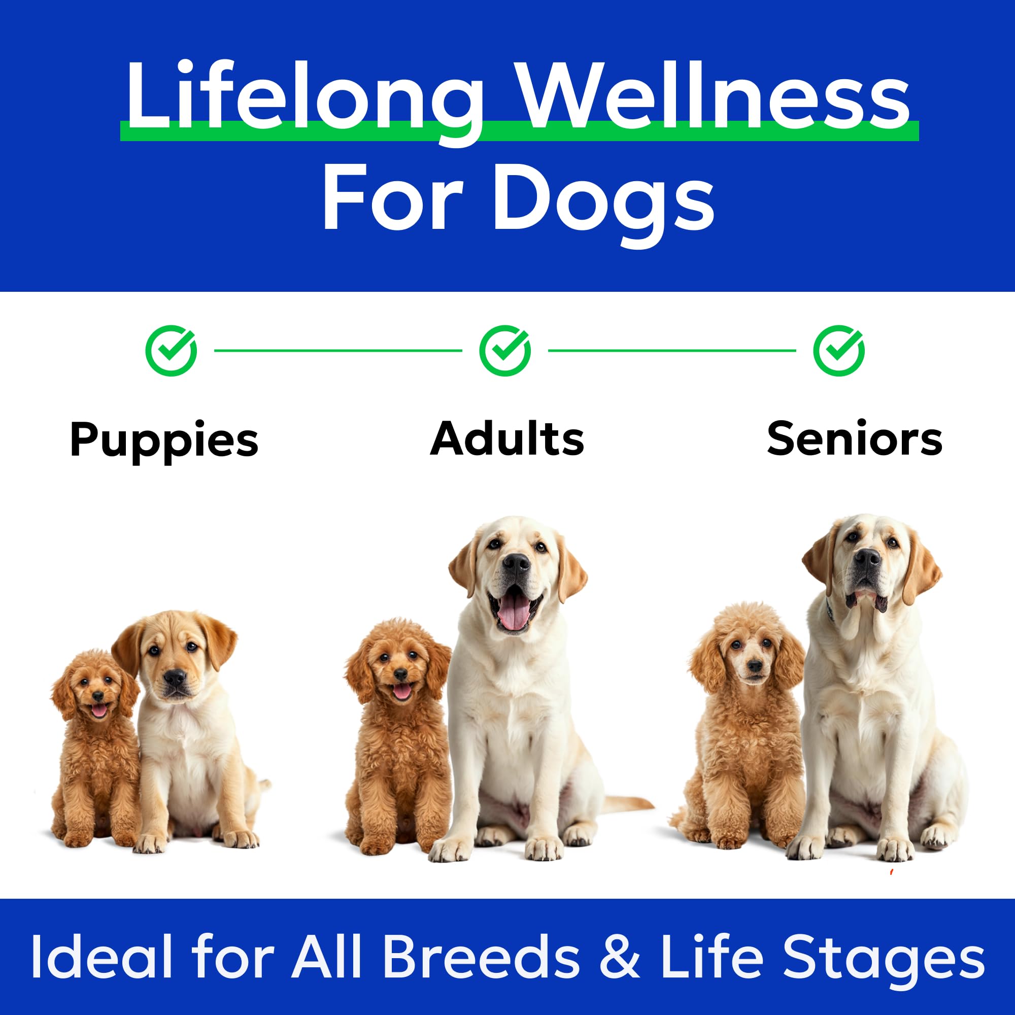 BARK&SPARK Qualité premium: oméga3 pour la nutrition canine.