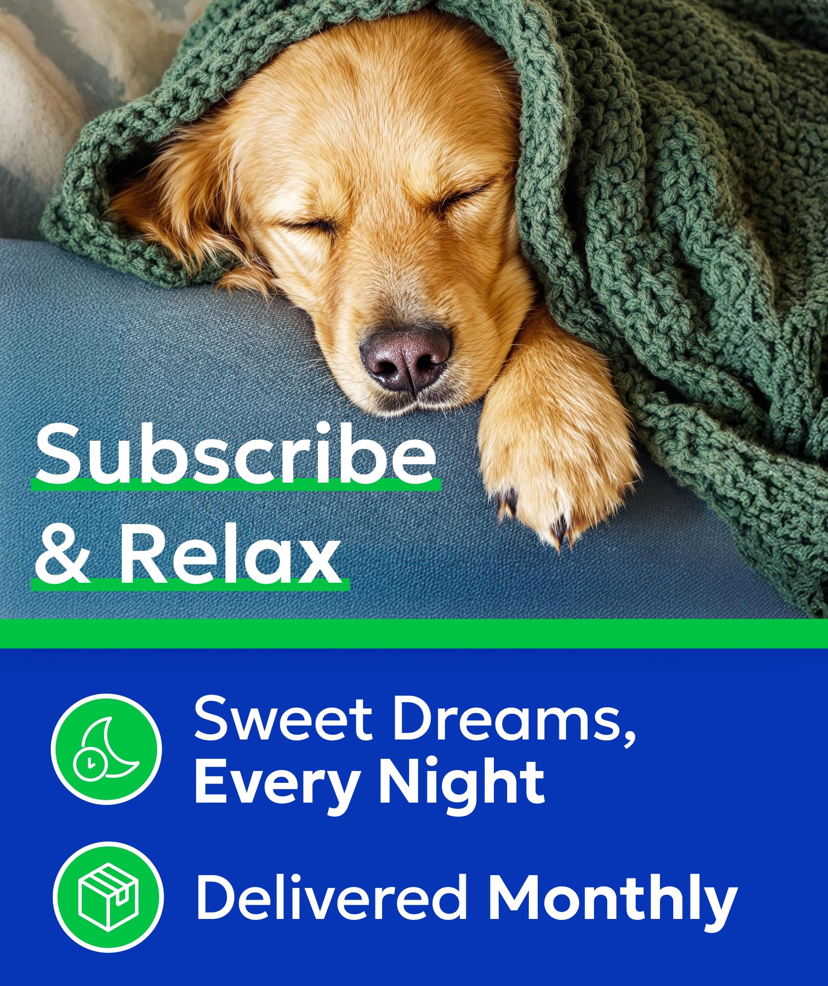 Routine quotidienne Bark& Spark pour chien plus détendu.