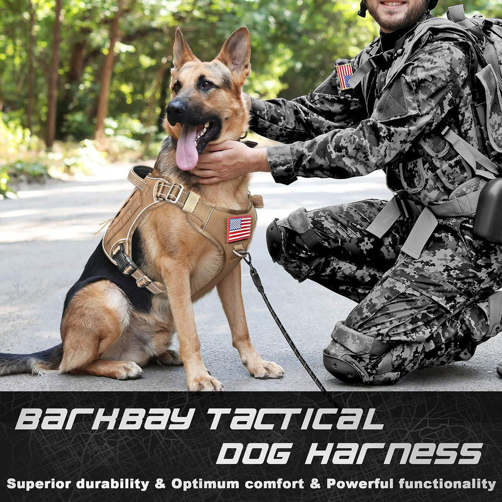 Barkbay, boucles rapides, montage rapide et ajustement sûr.