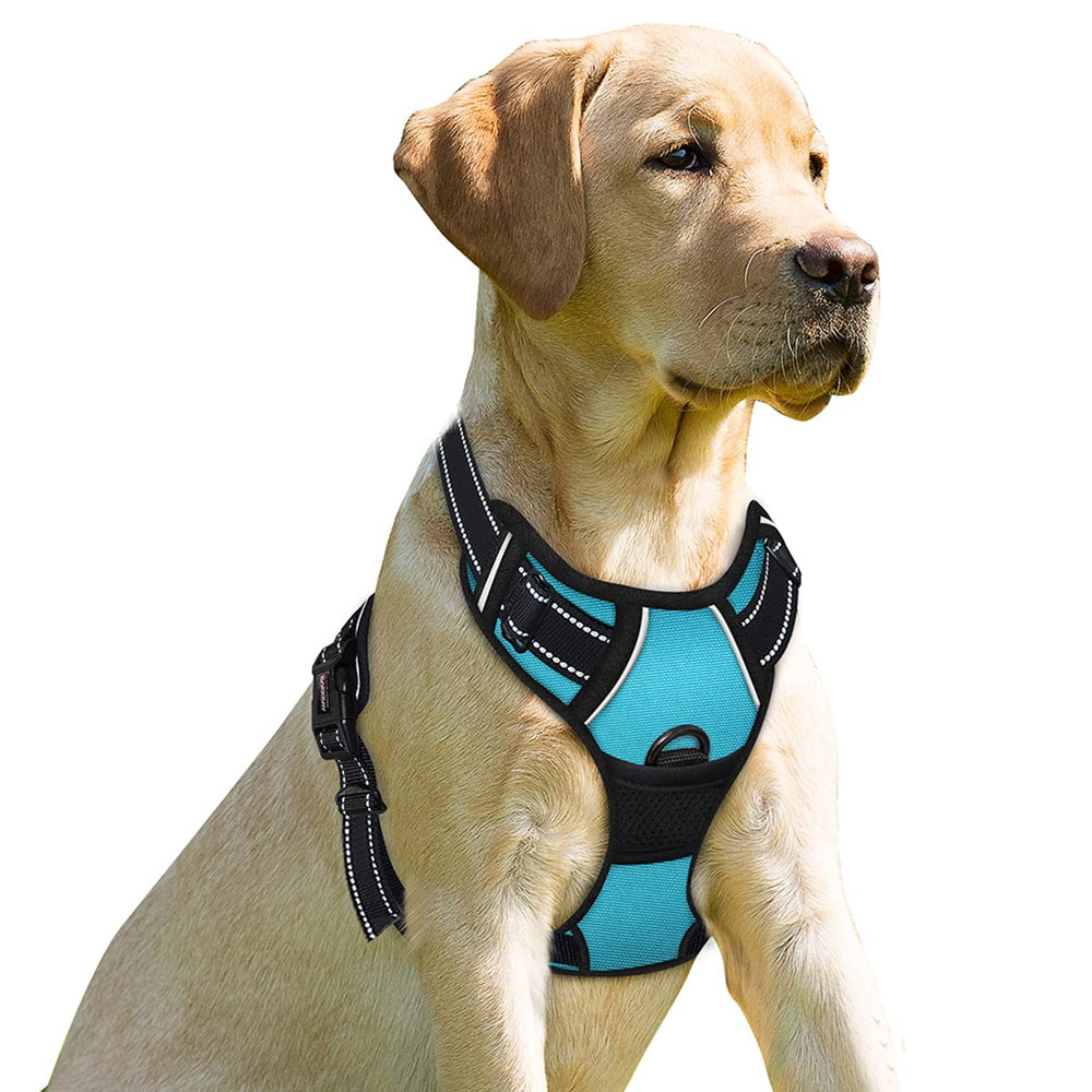 Harnais BarkBay anti-tirage avec attache-frontale bleu, contrôle précis lors des promenades.
