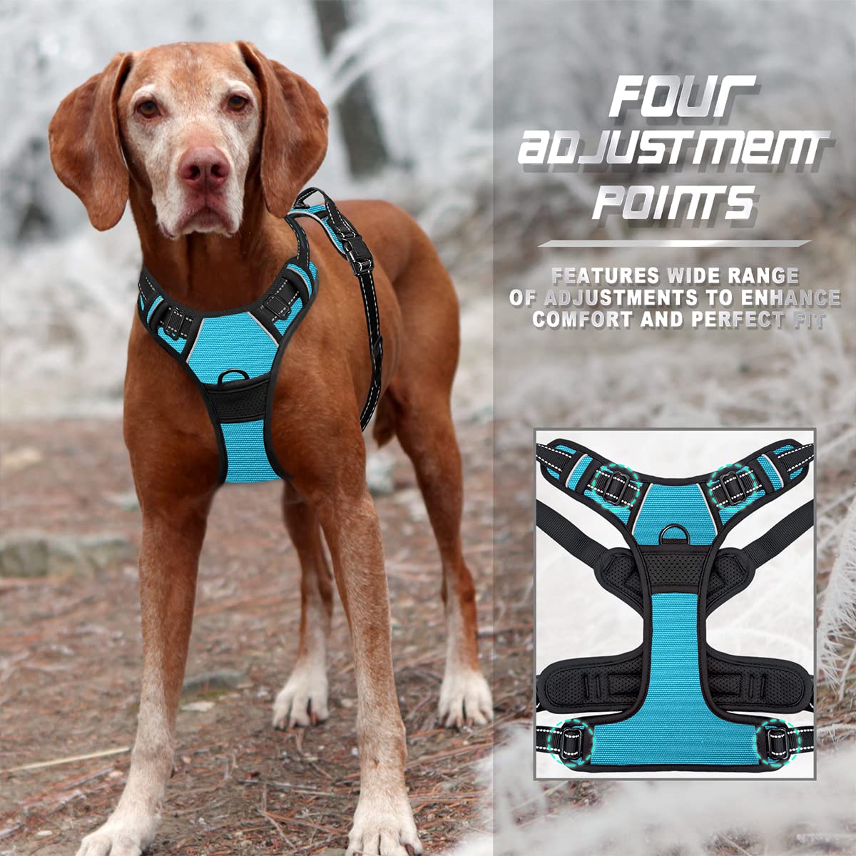 Réglages faciles Barkbay: ajustement sur mesure pour chaque chien.