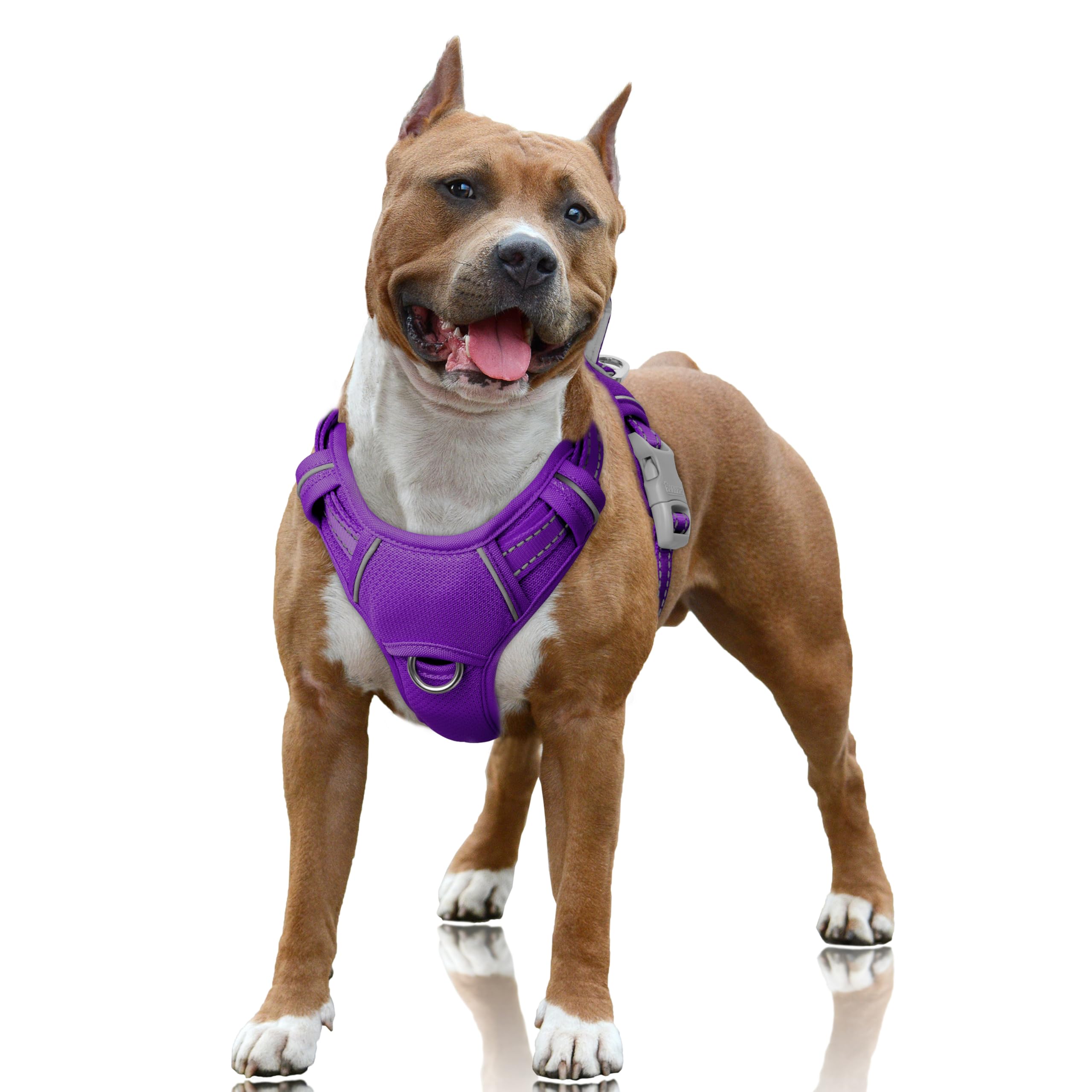 Harnais anti-traction BarkBay avec clip avant pour promenades maîtrisées