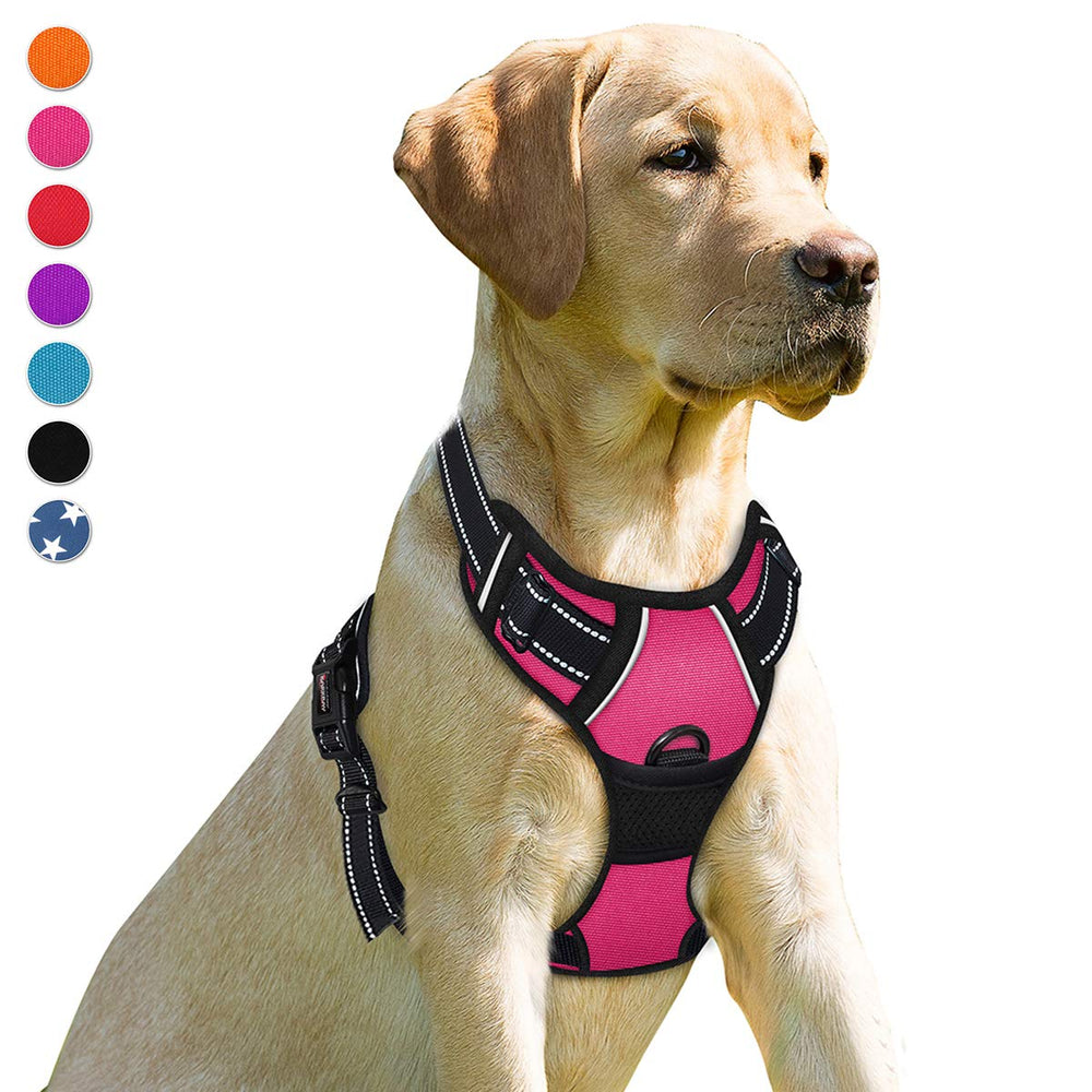 Harnais Barkbay antitraction avec clip avant pour grand chien, confort et contrôle.
