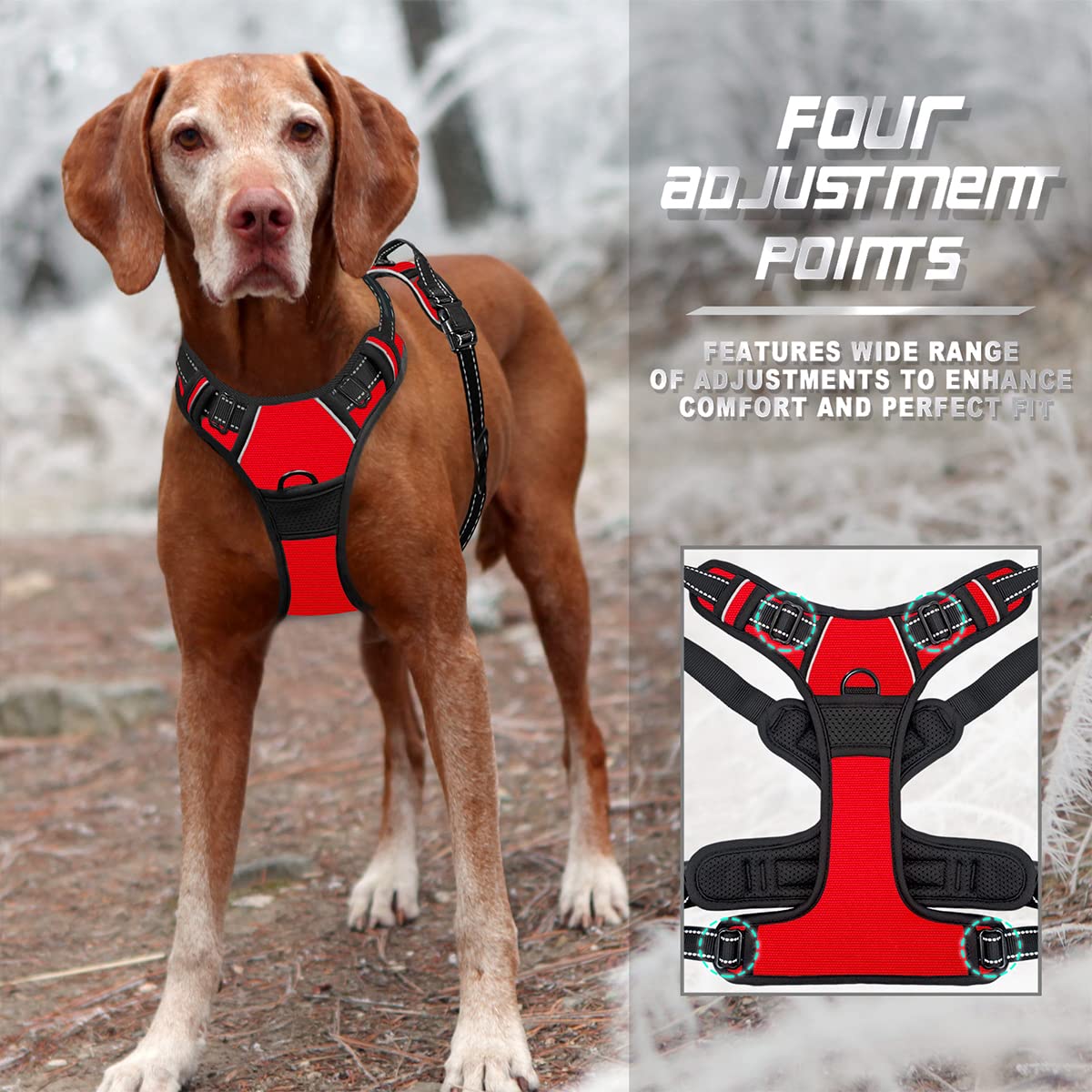Bandes réfléchissantes BarkBay ultra pour la visibilité nocturne.