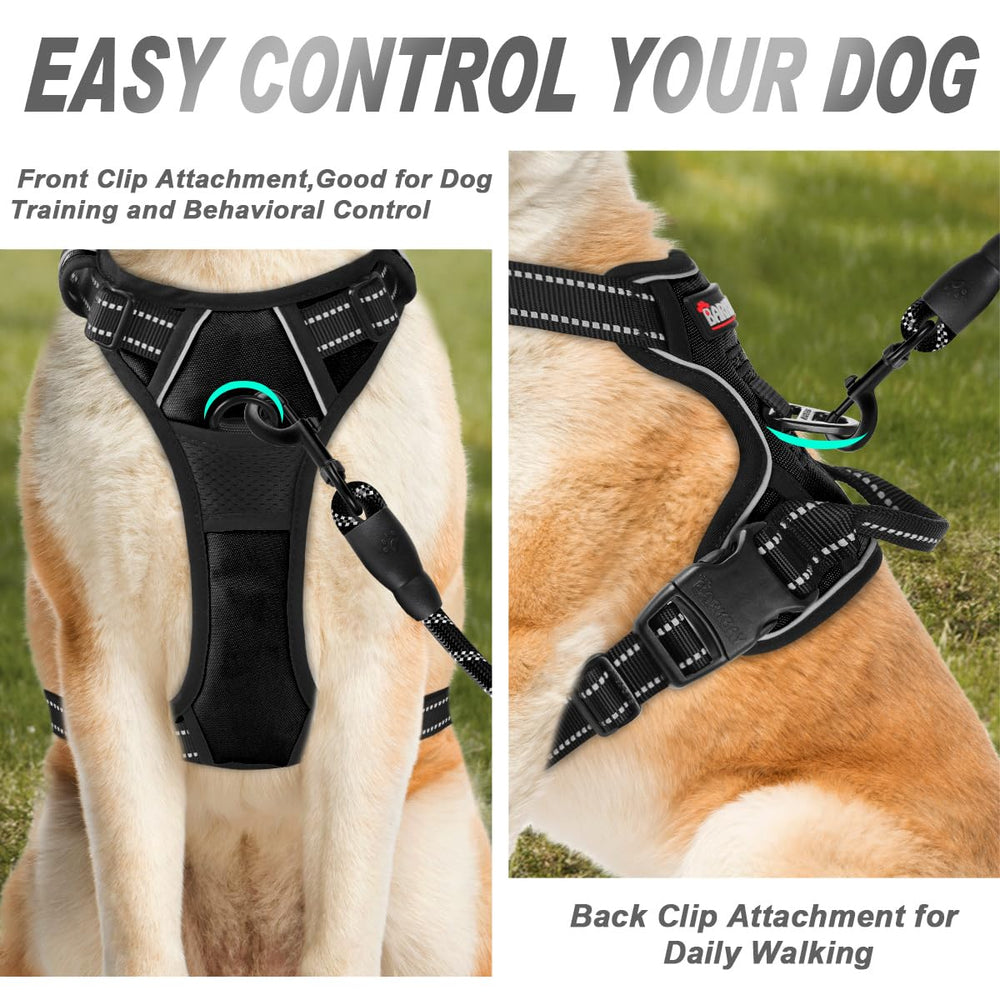 Harnais BarkBay avec attache dos pour plus de stabilité pendant la marche.