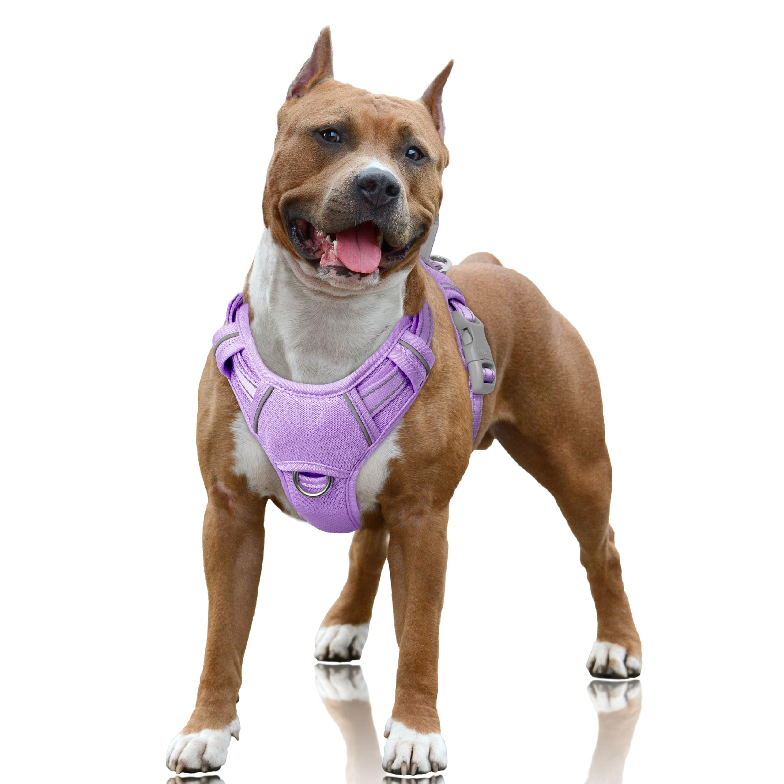Harnais BarkBay clip-avant pour un contrôle facilité lors des promenades.