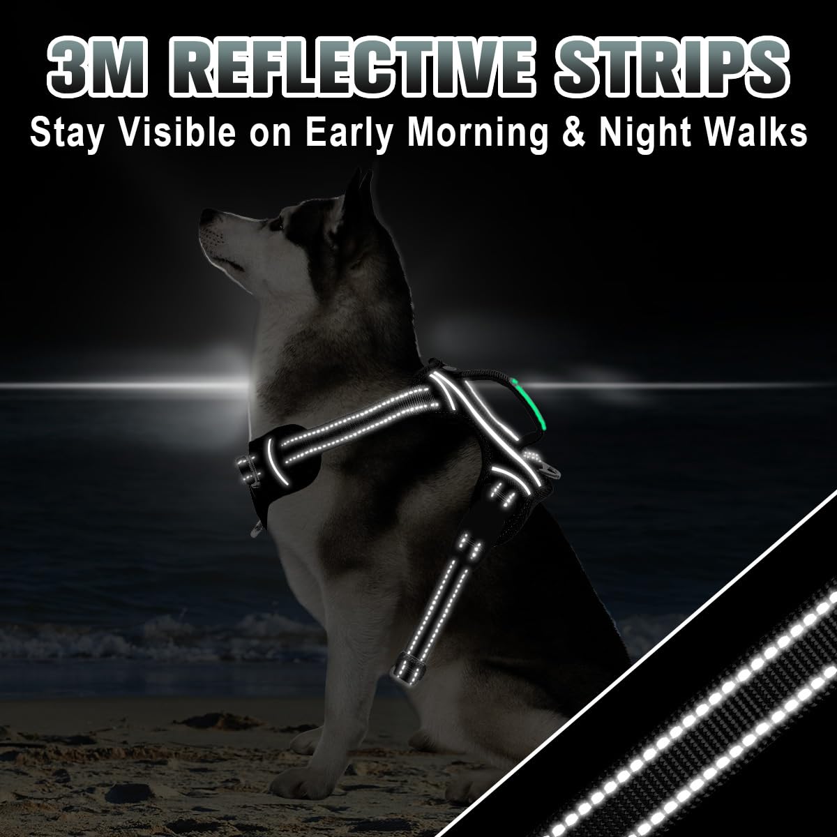 Harnais BarkBay avec garnissage anti-irritation pour un port confortable.