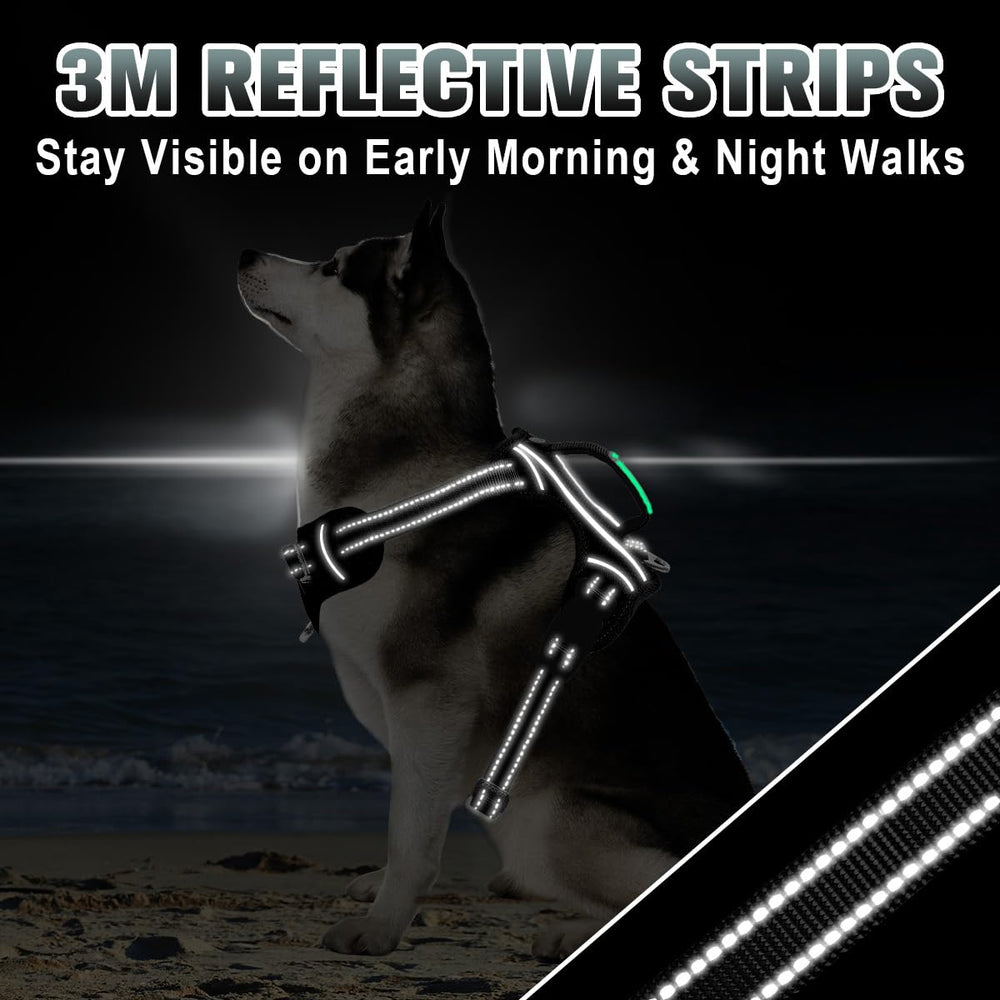 Harnais BarkBay avec garnissage anti-irritation pour un port confortable.