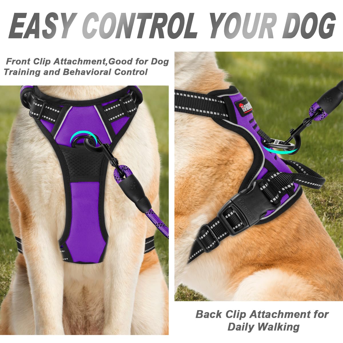 Poignée de sécurité BarkBay pour un contrôle sûr lors des promenades.
