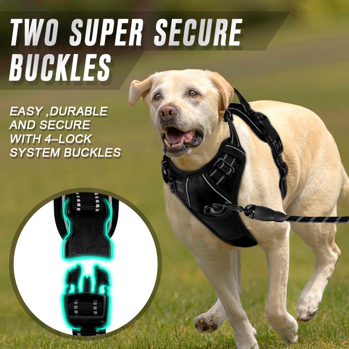 Rembourrage anti-irritation BarkBay pour un confort durable.