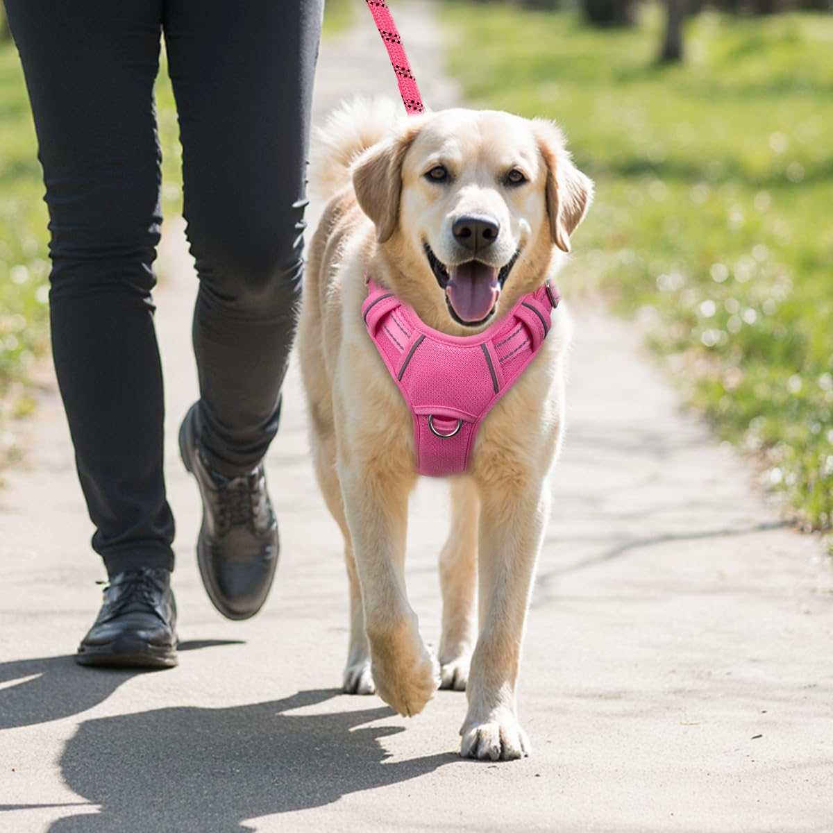 Harnais BarkBay rose taille L pour confort et sécurité.