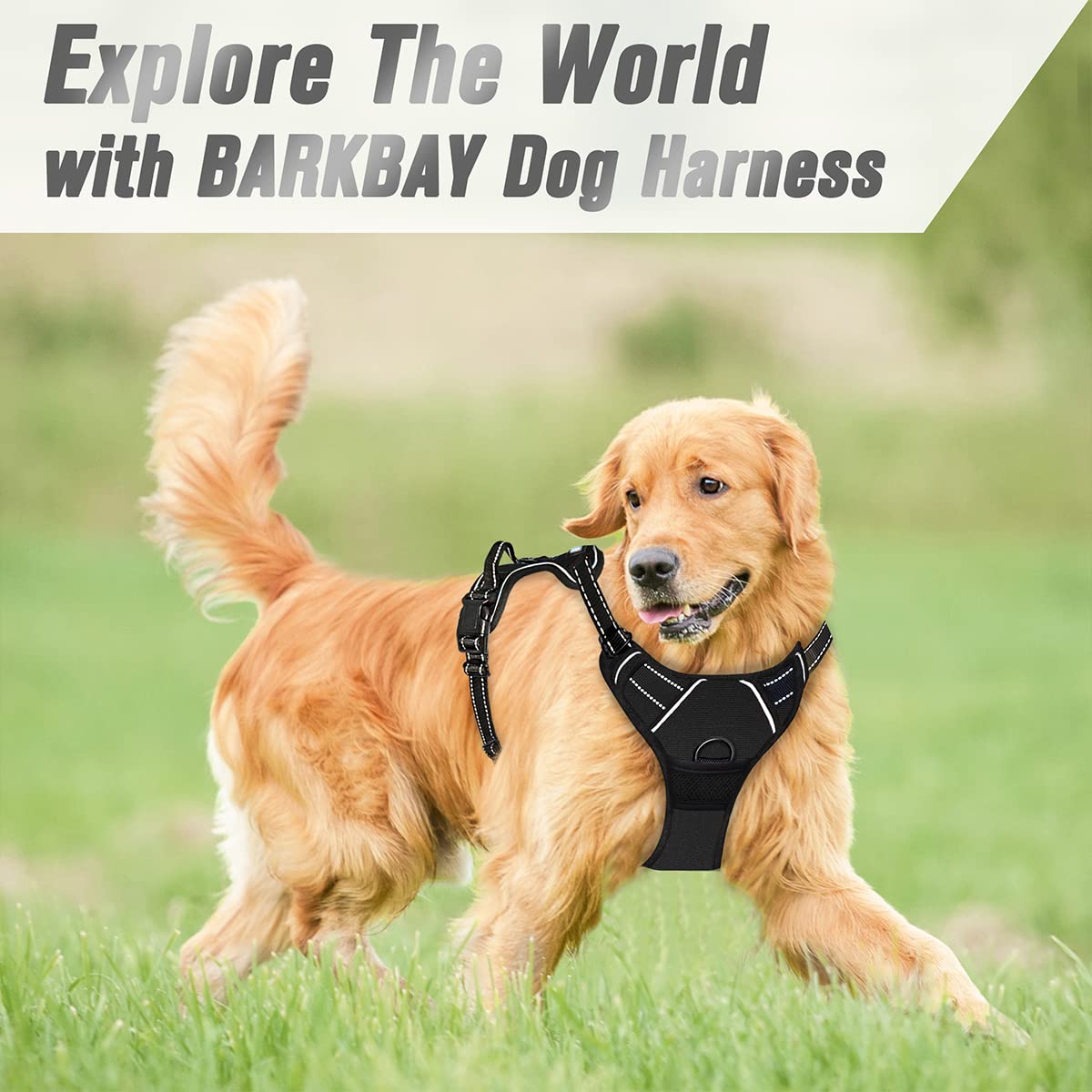 Harnais BarkBay taille XL noir adapté aux grands chiens.