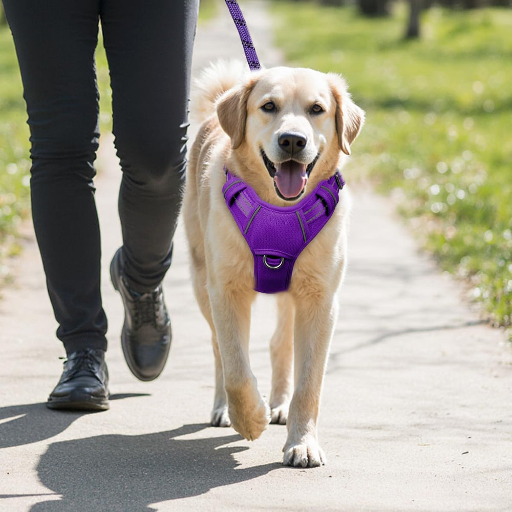 Harnais BarkBay couleur violet taille L pour chiens actifs