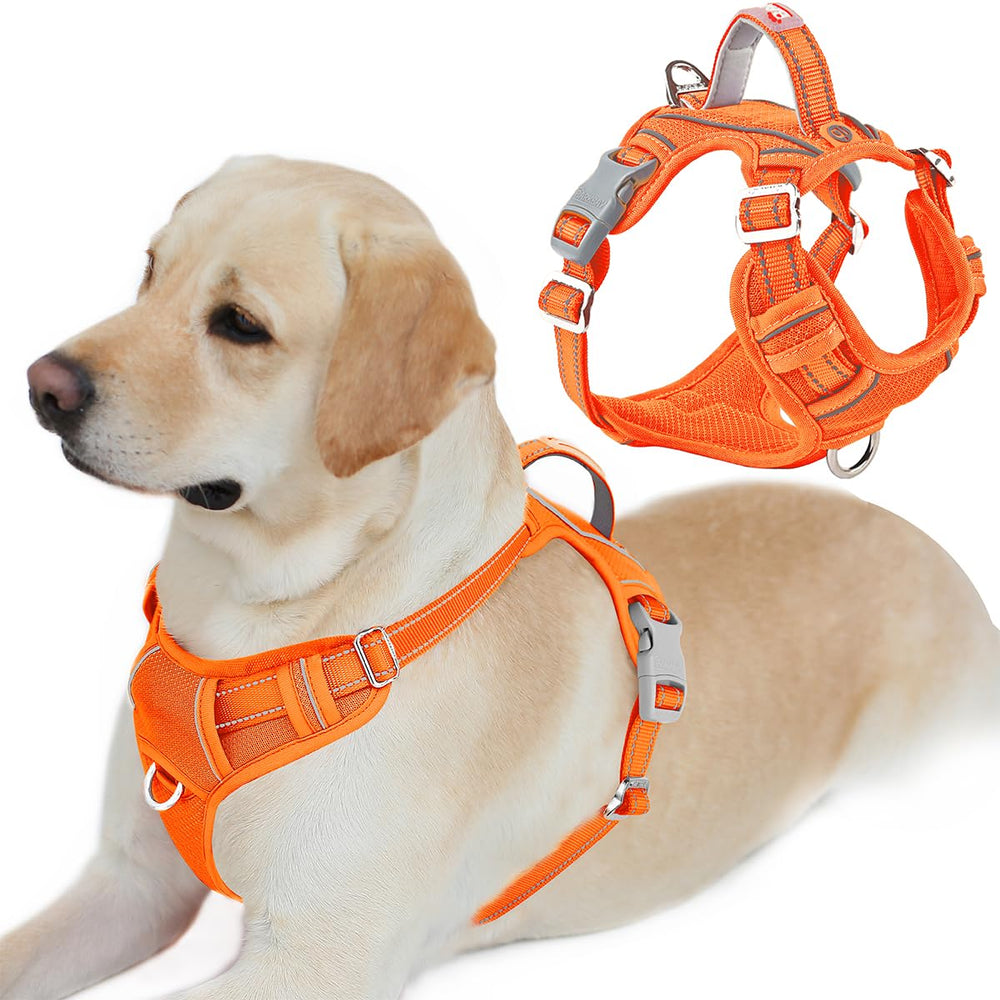 Harnais BarkBay confort-respirant pour promenades quotidiennes.