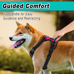 Harnais BarkBay durable pour aventures extérieures et longues balades.