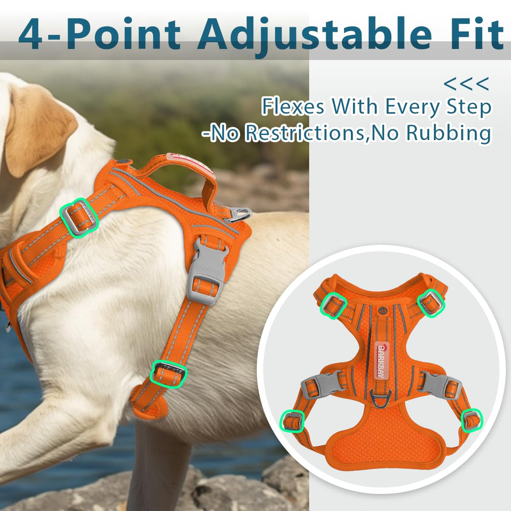 Harnais BarkBay nylon léger avec doublure mesh pour le confort.