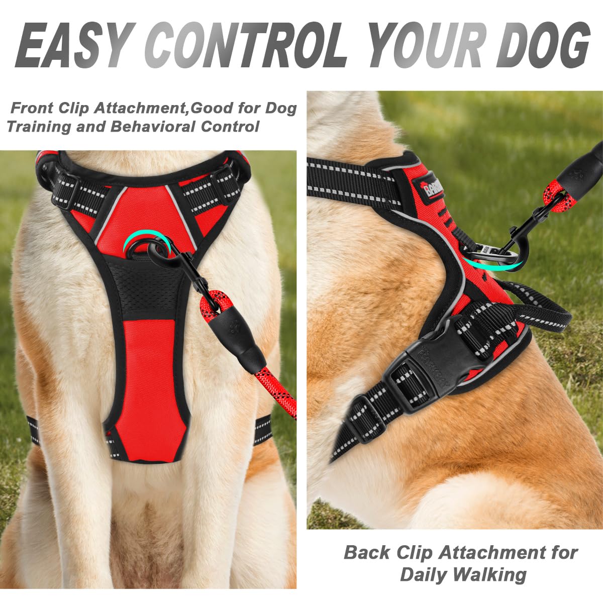 Réglages quatre points pour un ajustement personnalisé et confortable du BarkBay.