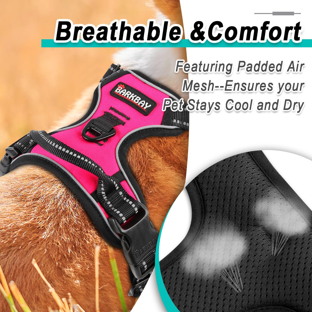 Harnais BarkBay rose Oxford, durable et polyvalent pour chiens actifs.