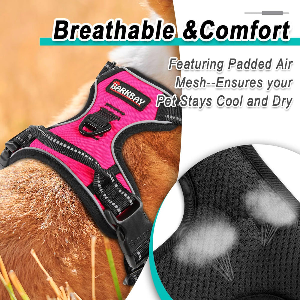 Harnais BarkBay rose Oxford, durable et polyvalent pour chiens actifs.