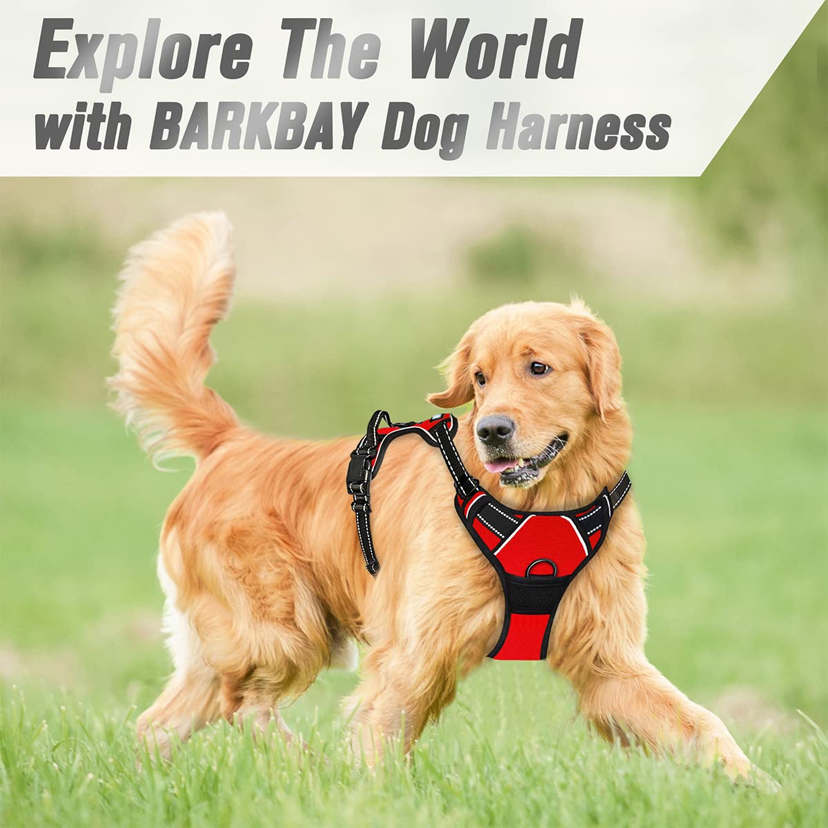 Harnais BarkBay rouge XL, durable et adapté aux grands chiens.