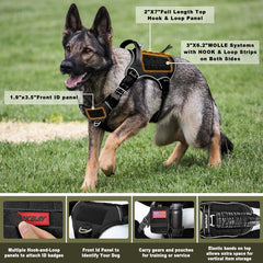 Harnais Barkbay système MOLLE, rangement pratique lors des sorties en plein air.