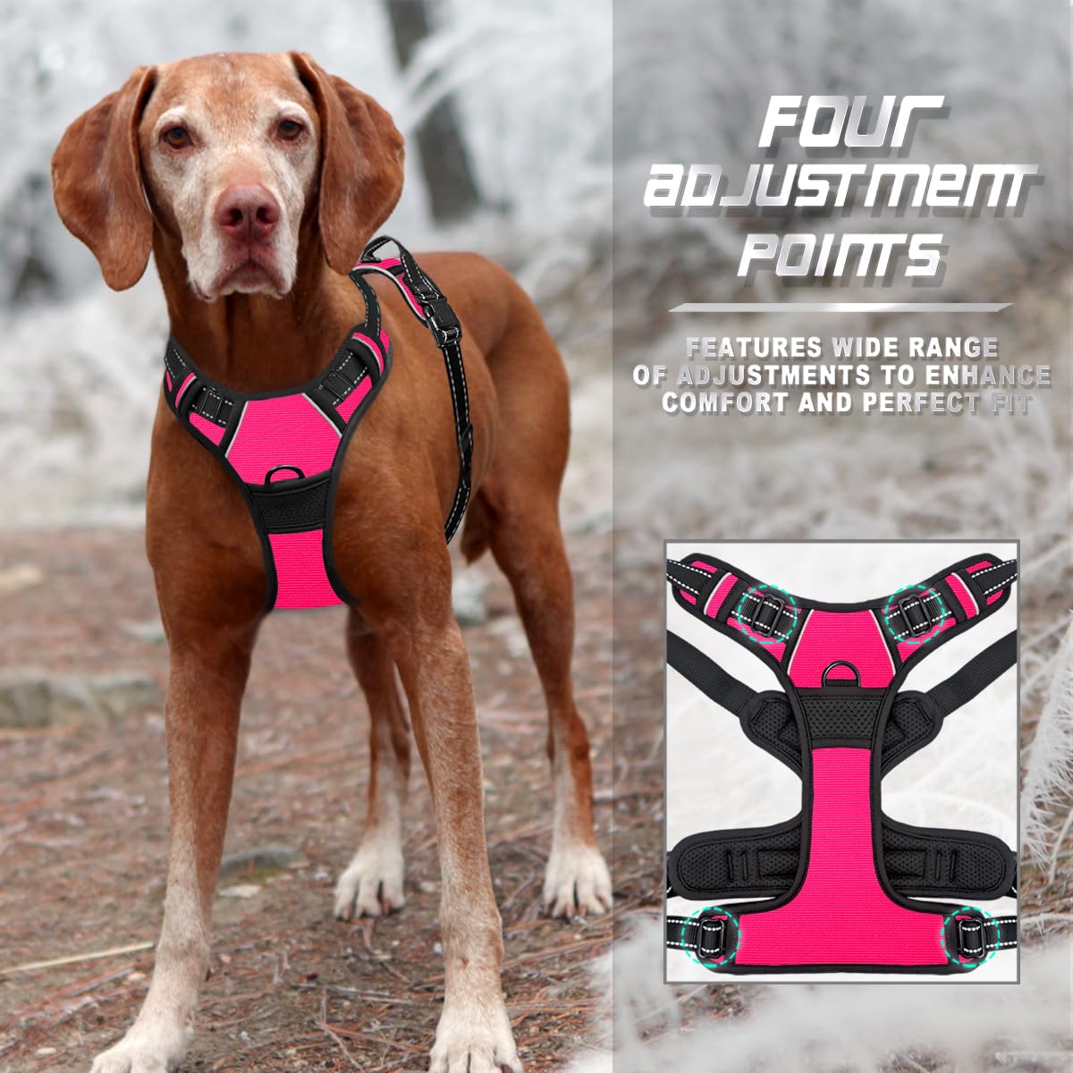 Nylon sans déchirure Barkbay rose garantit durabilité et longévité.