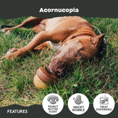Barkbox Acornucopia, noyau caoutchouc durable: conçu pour chiens mordeurs déterminés.