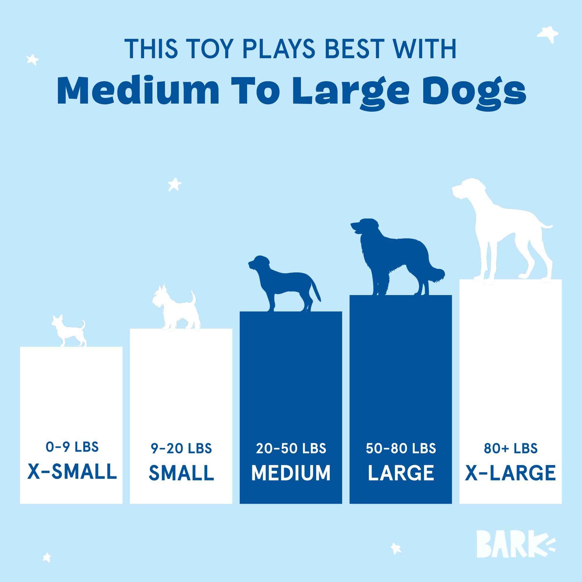 BarkBox Air Head: conception partagée avec les chiens pour mieux répondre au jeu.