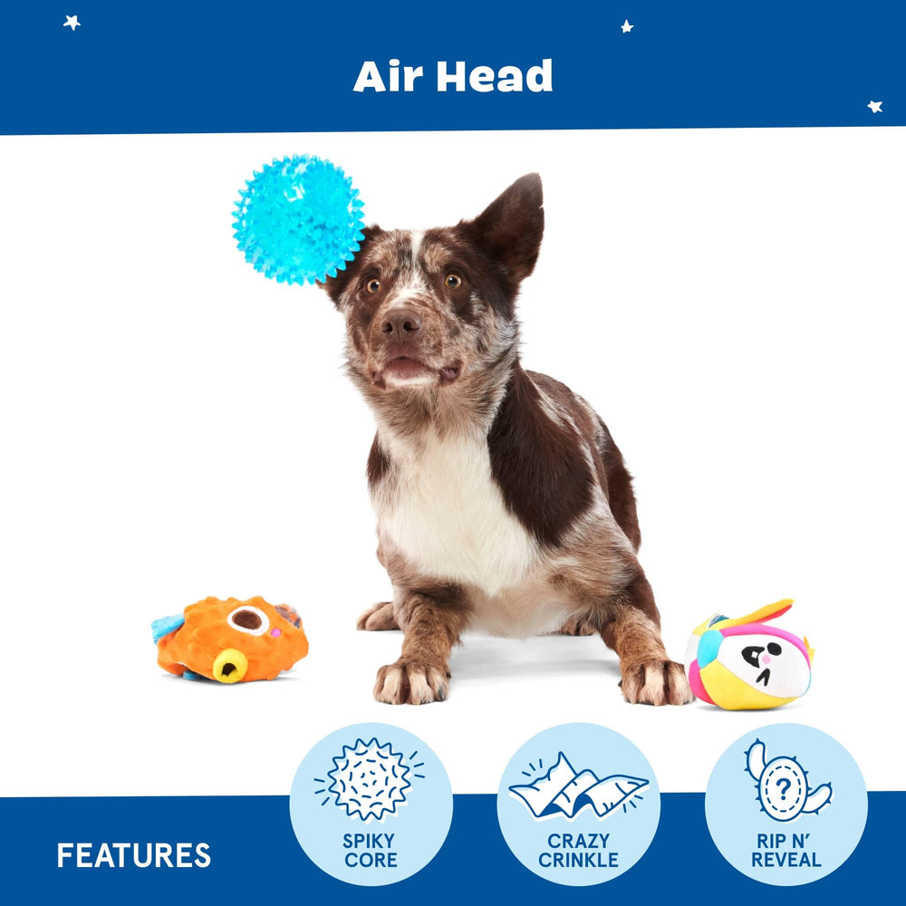 BarkBox Air Head: texture crissante et son interne stimulant les sens.