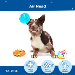 BarkBox Air Head: texture crissante et son interne stimulant les sens.